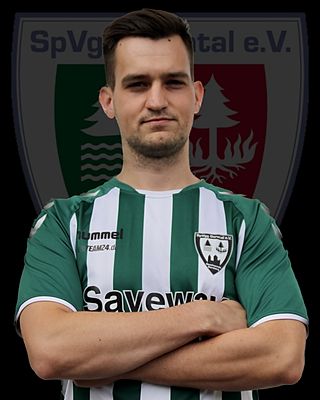 Matthias Troll
