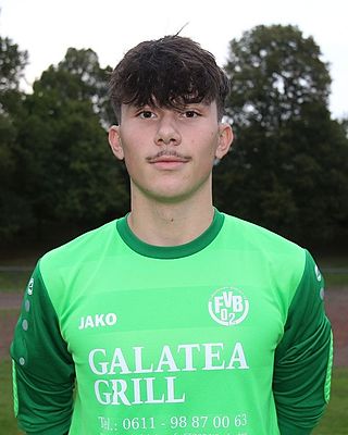Timo Wolf