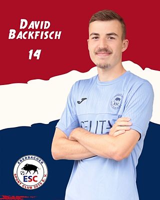 David Backfisch