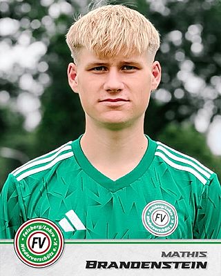 Mathis Brandenstein