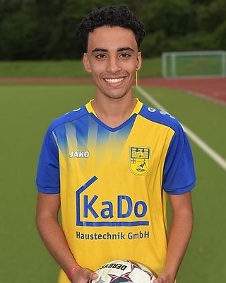 Ayman Hamza
