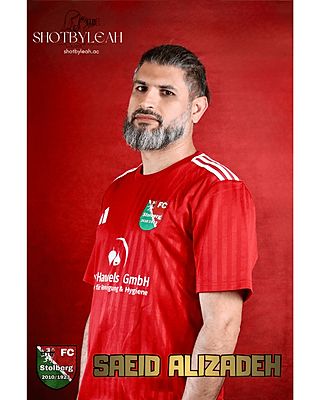 Saeid Alizadeh