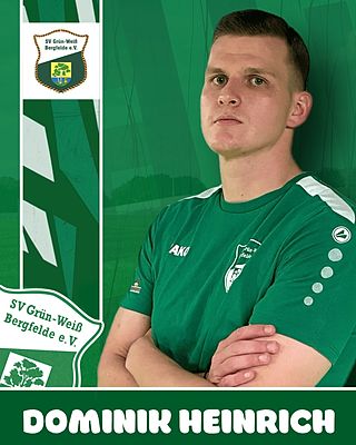 Dominik Heinrich