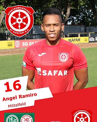 Angel Ramiro Garcés Tesada