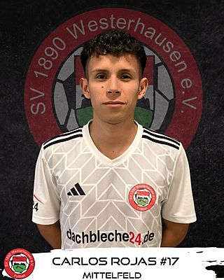 Carlos Daniel Rojas Peredes