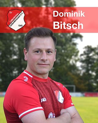 Dominik Bitsch