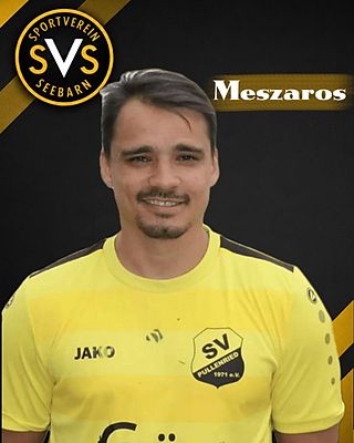 Michal Meszaros