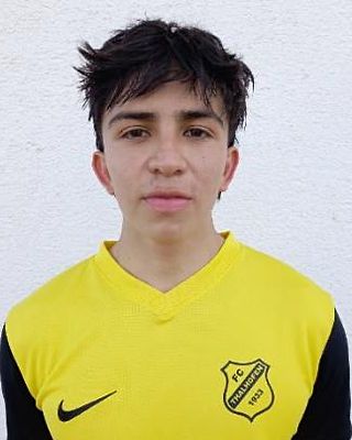 Emilio Cardenas Escandon