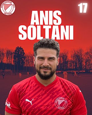 Anis Soltani