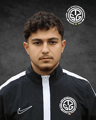 Emir Alaattin Celebi