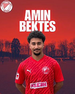 Amin Bektes