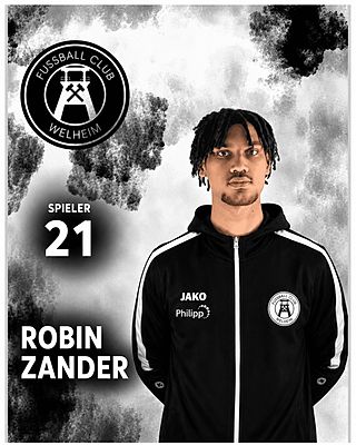 Robin Zander