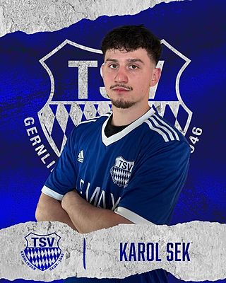 Karol Sek
