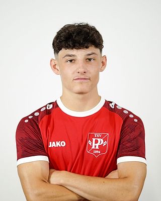 Mario Hiesener