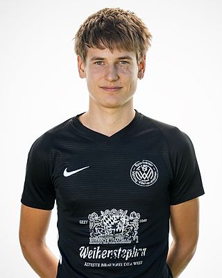 Emil Alefelder