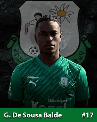 Gabriel De Sousa Balde