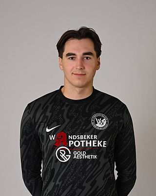 Vincent Artur Schick