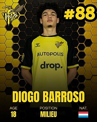 Diogo Barroso