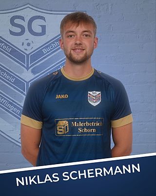 Niklas Schermann