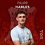 Filipp Harles