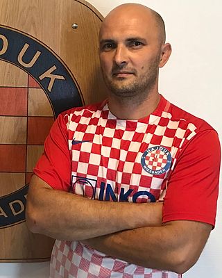 Zoran Domitrović