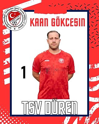 Kaan Gökcesin