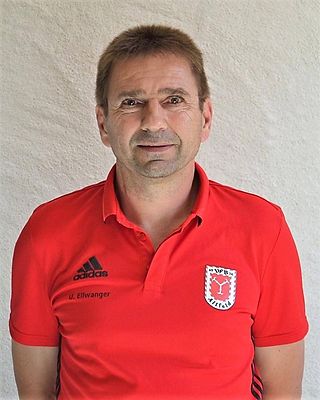 Uwe Ellwanger