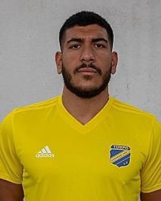 Oguzhan Denkgelen