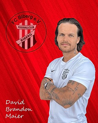 David Brandon Maier