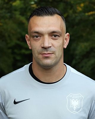 Damir Karic