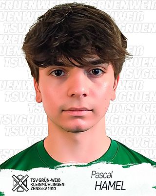 Pascal Hamel