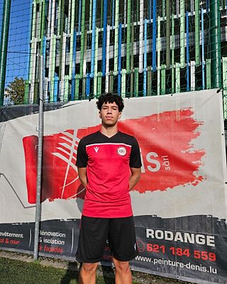 João Henrique Siqueira Rodrigues