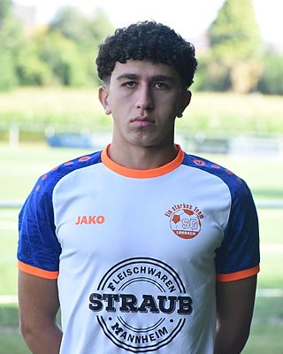 Mikheil Buzhgulashvili