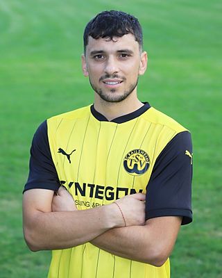 Iulian Stefan Gilca