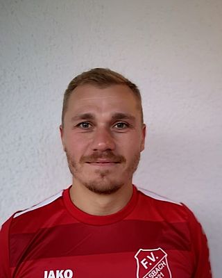 Alexis Stephane Savalle