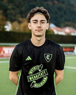 Milan Karig