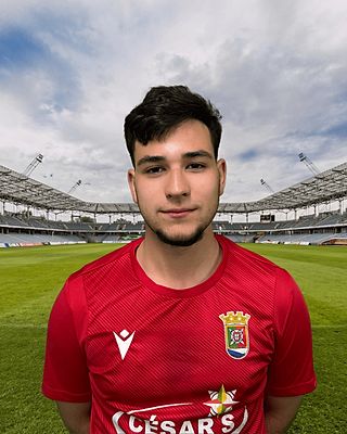 Miguel Guimaraes Da Silva