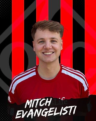 Mitch Evangelisti