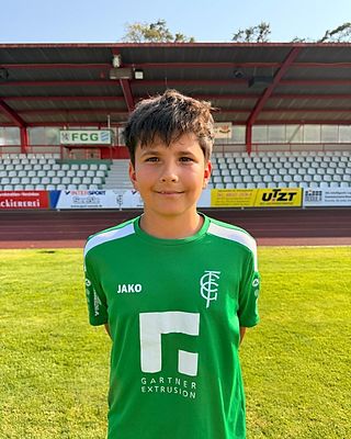 Teodor Marinescu