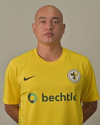 Timo Heming
