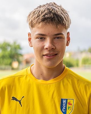 Luis Maximilian Arend