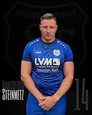 Hansgeorg Steinmetz