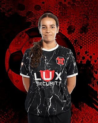 Saidy Schmit