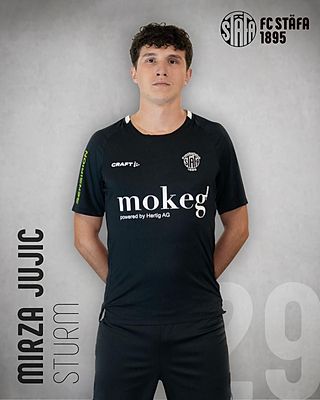 Mirza Jujic