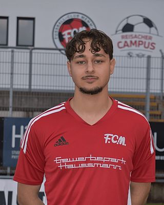 Nedin Sacipi