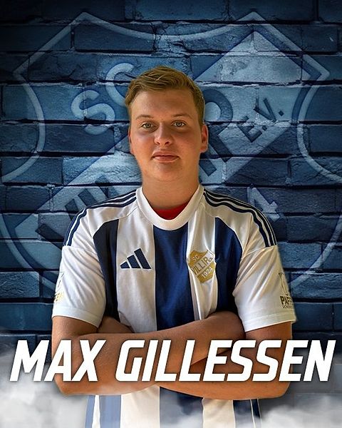 Max Gillessen