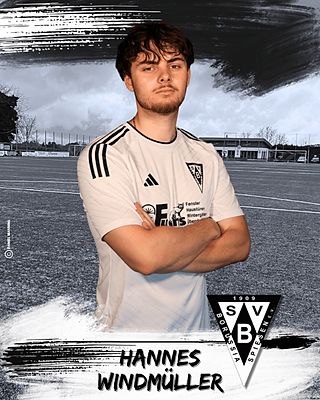 Hannes Windmüller