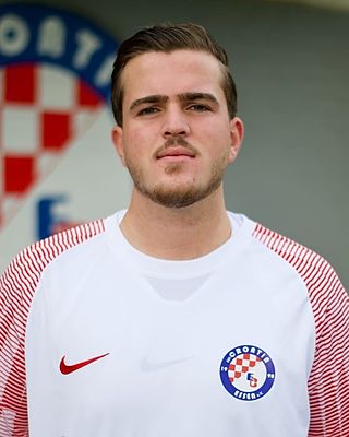 Ivan Ilias Cipetic