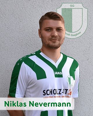 Niklas Nevermann