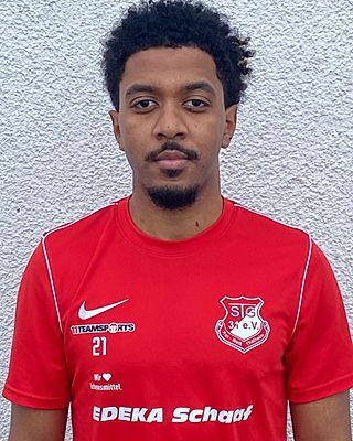 Mohamed Haytham Abdulaziz Mohamed